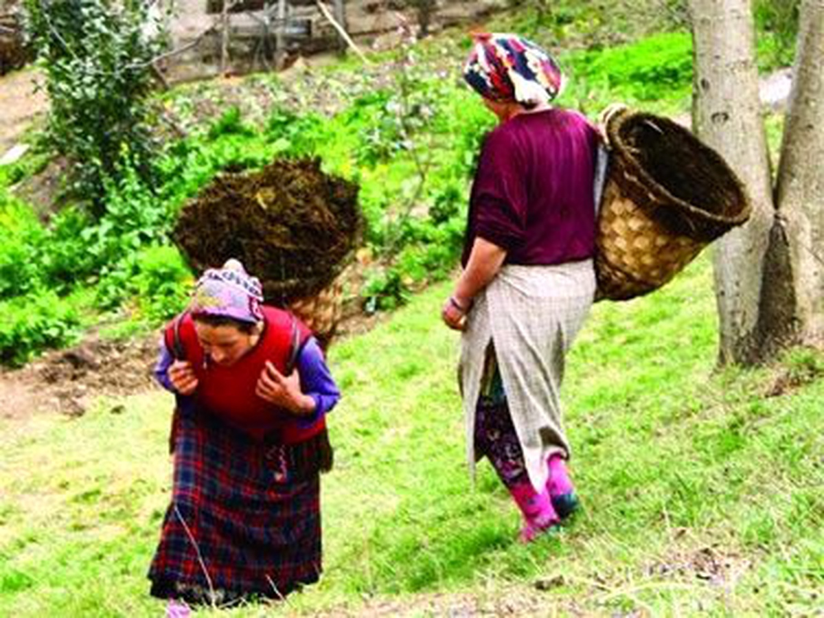 Nisan Ayında da En Fazla İstihdam Artışı Tarımda