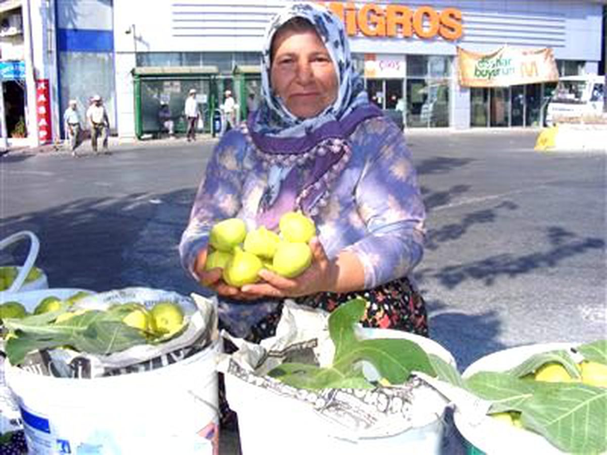 Söke\'de Sezonun İlk İnciri Tezgaha Düştü