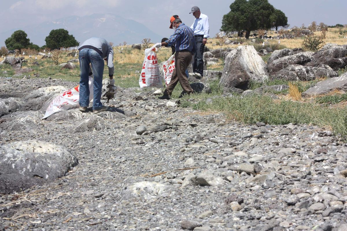 Adır Adasındaki Kuş Leşleri Toplandı