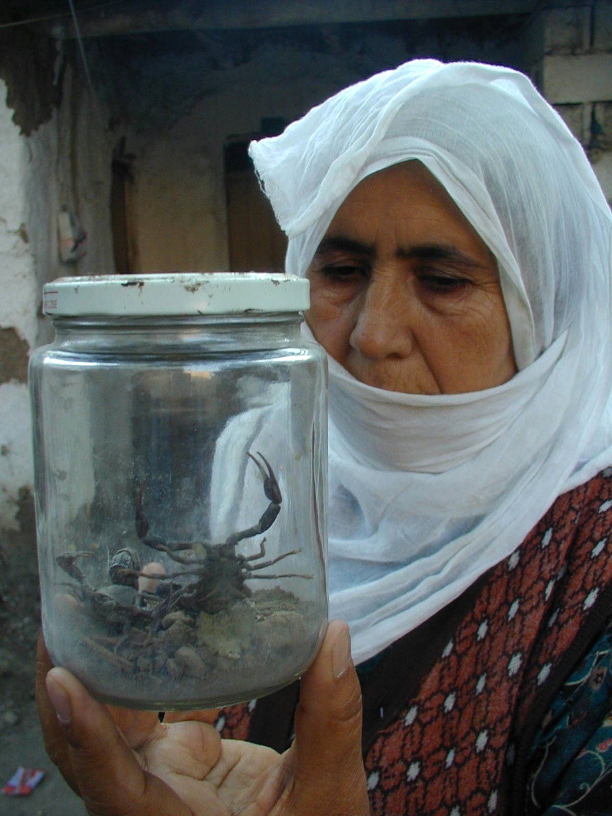 Akrepler Batman\'da Bir Günde 5 Kişiyi Soktu