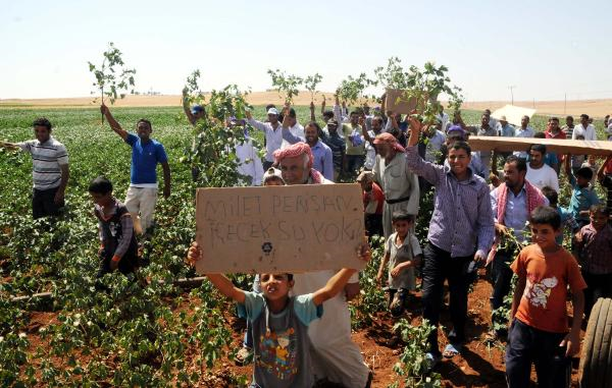 Çiftçiler Elektrik Kesintilerini Pamuk Yakarak Protesto Etti