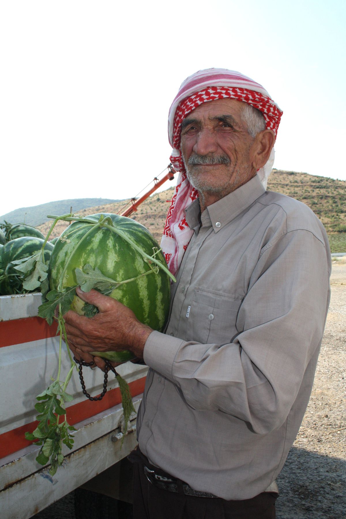 Güvercinlik Karpuzları Pazarda