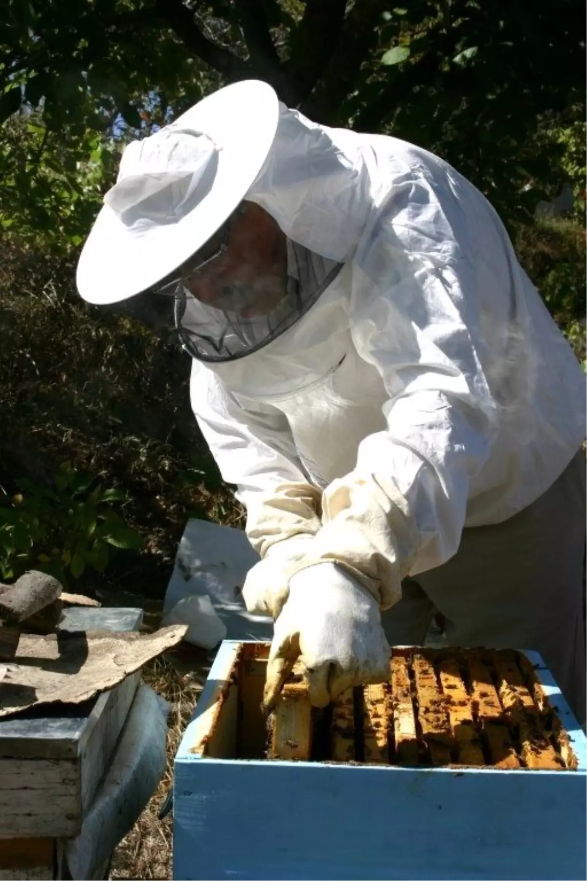 Hisarcık\'ta Kuraklık Bal Üreticilerini Vurdu