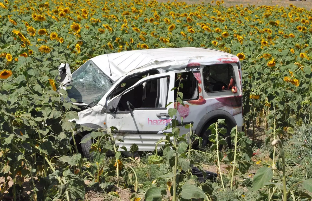 Kamyonet Ayçiçeği Tarlasına Uçtu: 1 Ölü