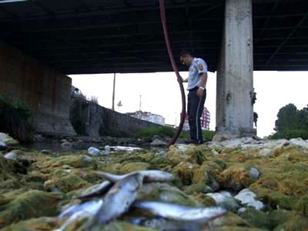 Ordu\'da Kuruyan Derelere Su Takviyesi