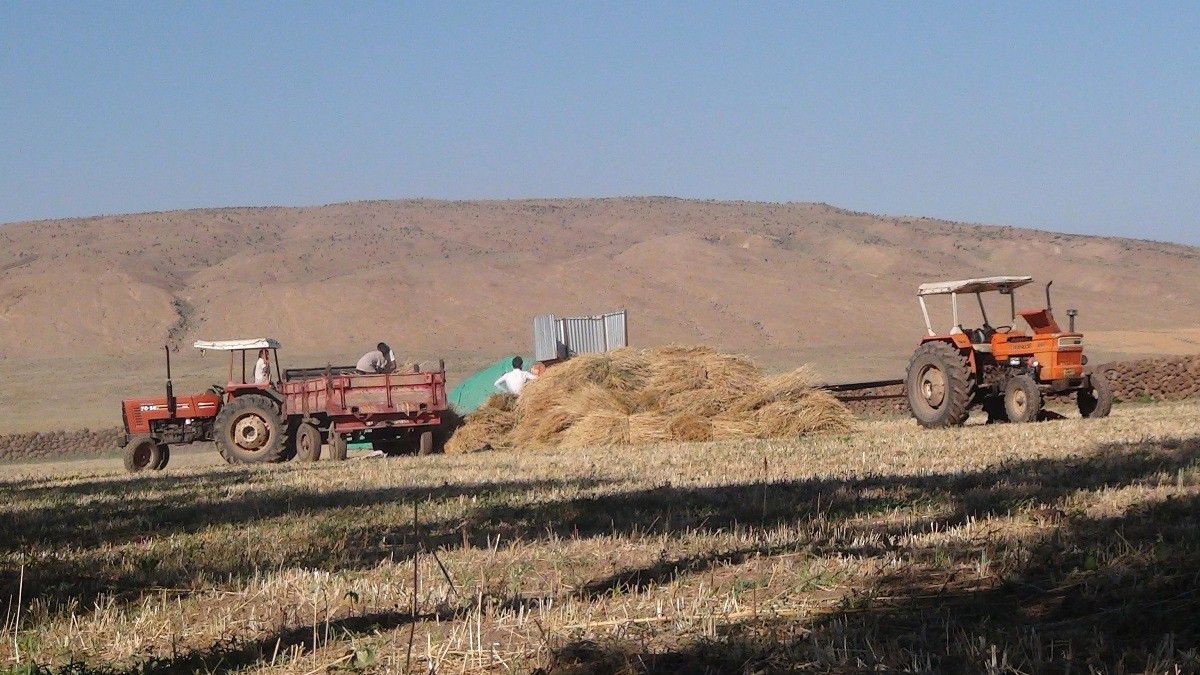 Ramazan\'da Tarlada Çalışıyorlar