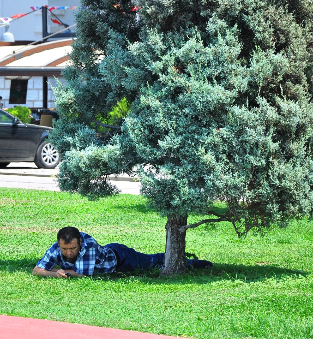 Sıcak Havada Vatandaşın İmdadına Ağaçlar Yetişiyor
