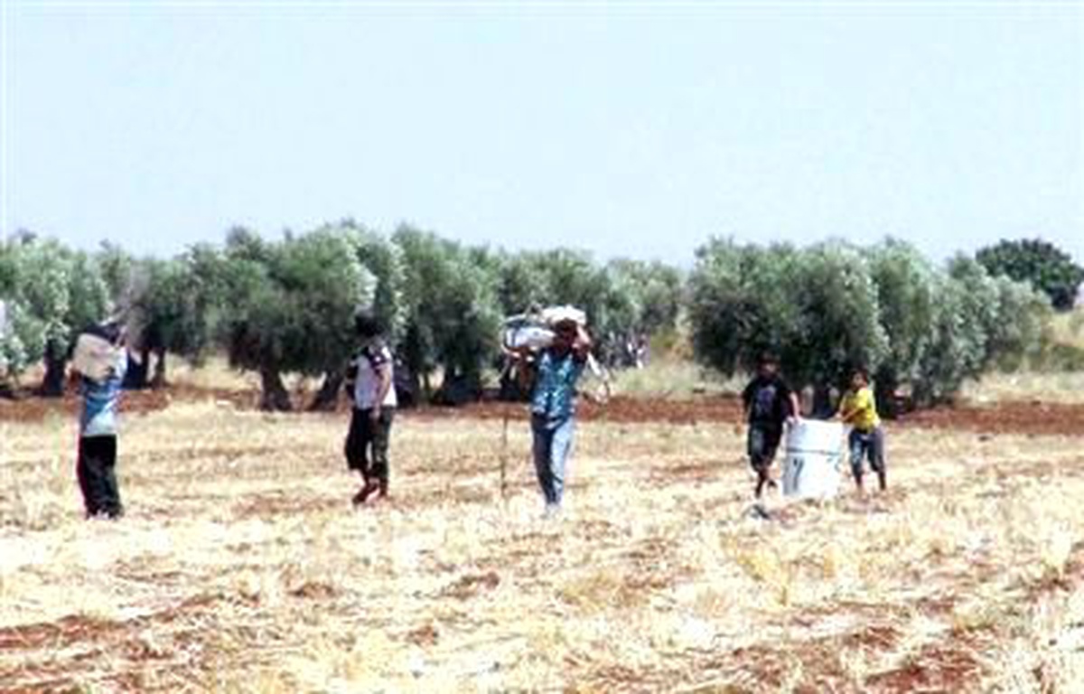 Suriye\'den Kaçan 9 Kişi Şanlıurfa\'ya Geldi