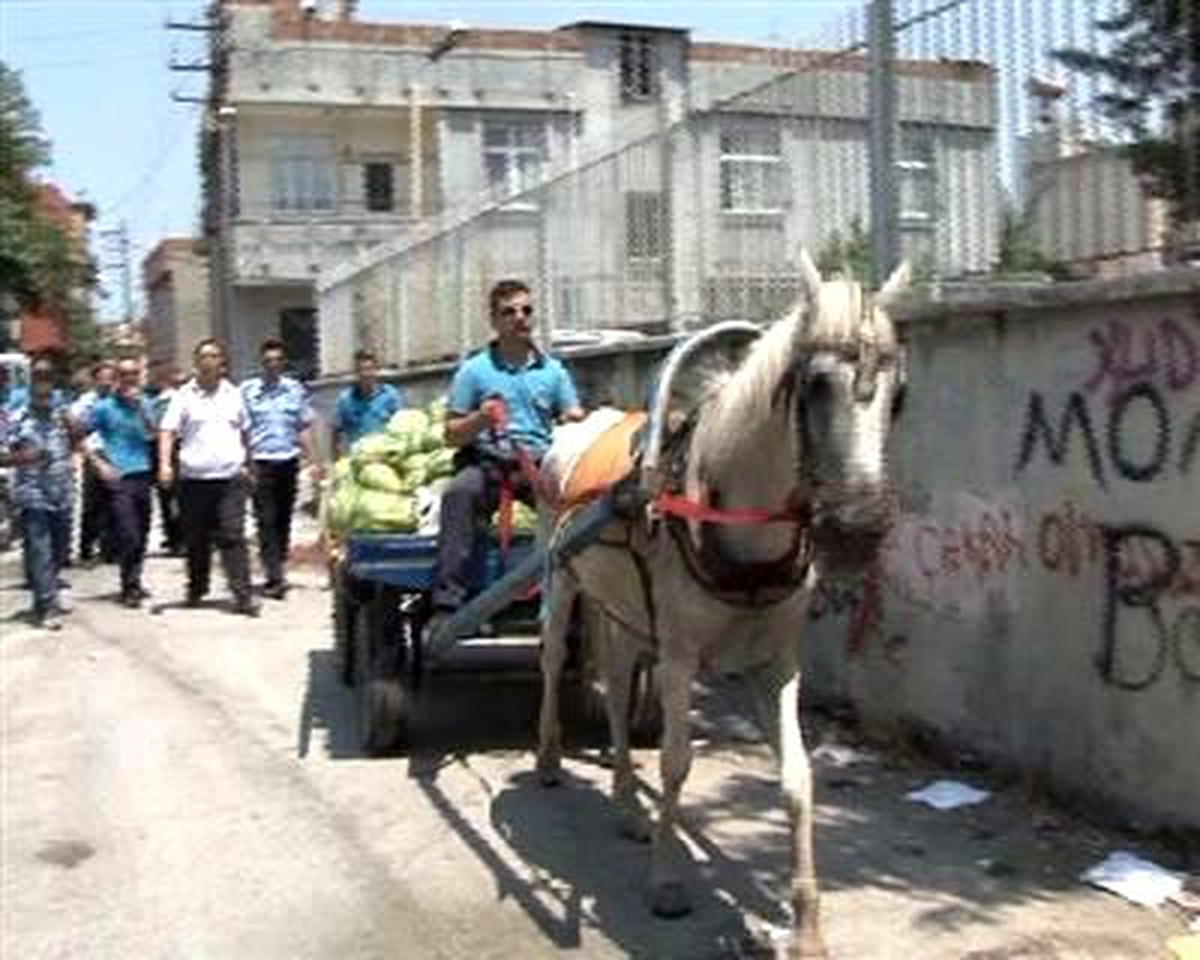 Adanadüzeltmekarpuz Yüklü Araba ve Atı Bırakıp 100 TL ile Kaçtı