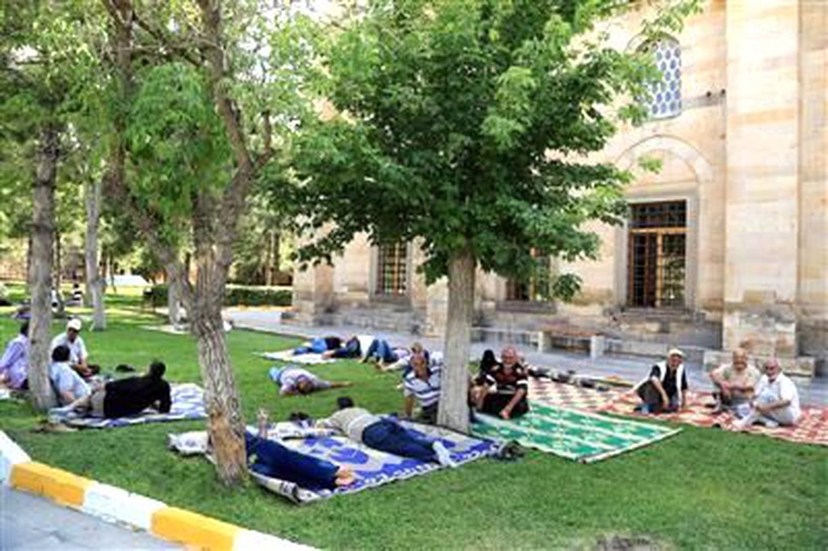 Cemaat Kedi ile Birlikte Cami Avlusunda Serinledi