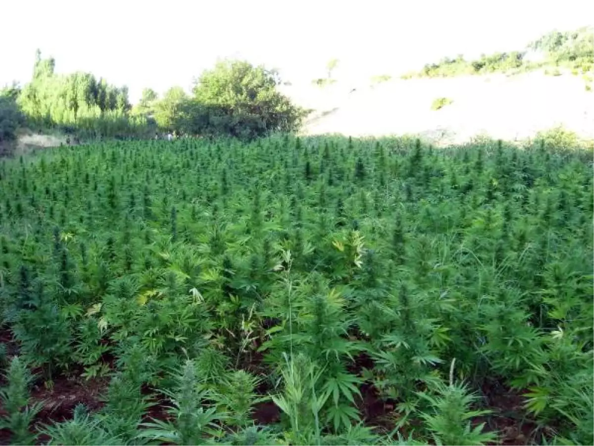 PKK\'ya Diyarbakır\'da İkinci Darbe