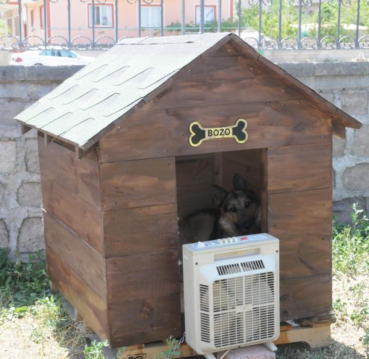 Köpeklerini Vantilatörle Serinletiyor