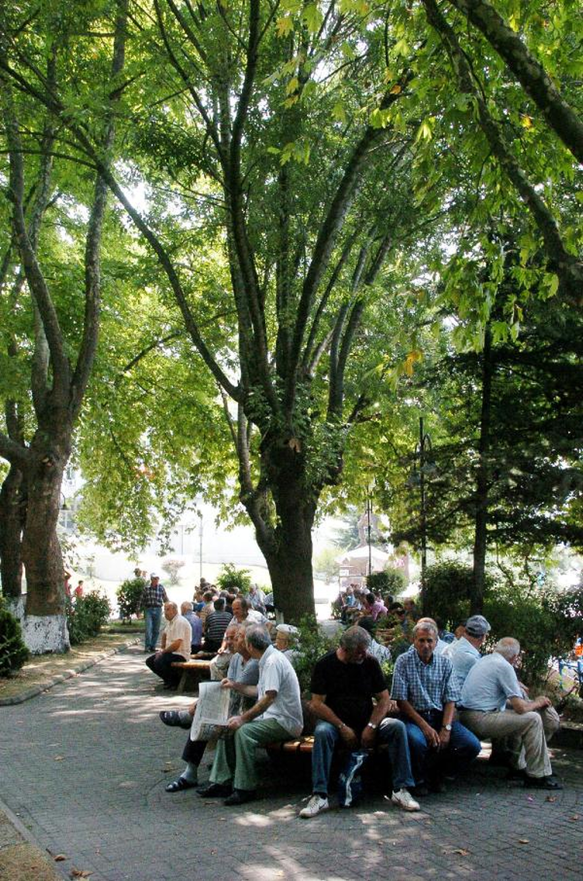 Zonguldak\'ta Sıcak Bunalttı