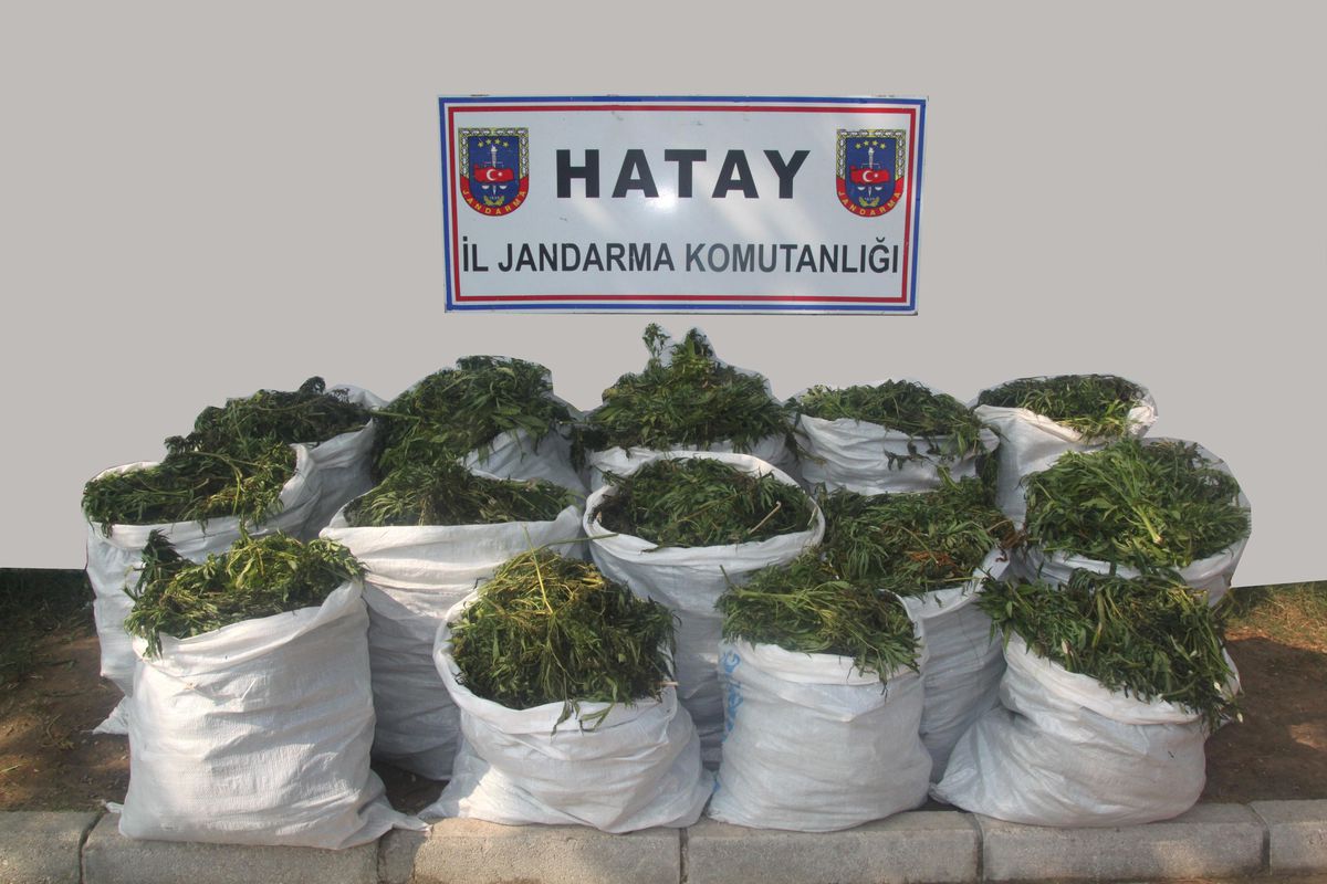 Amanos Dağlarında Uyuşturucu Operasyonu