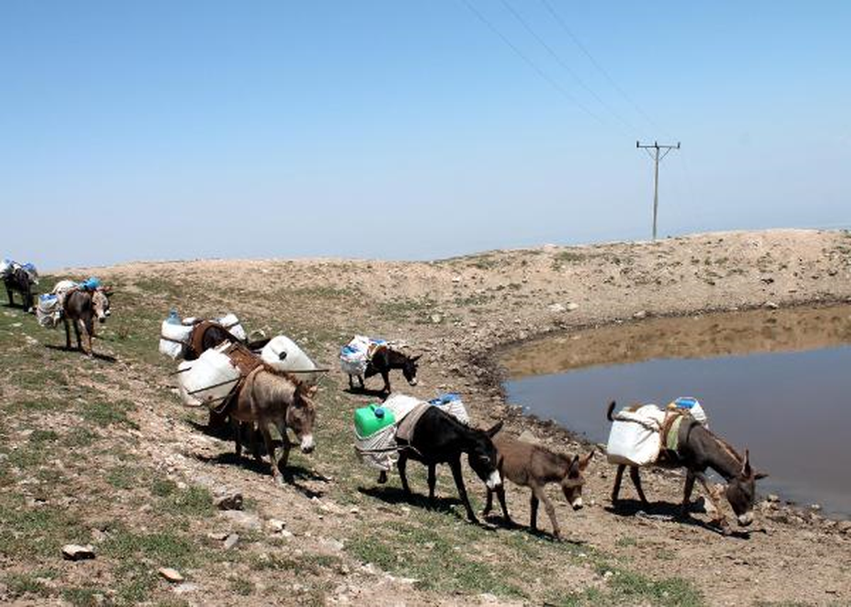 İçme Suyu Sıkıntısı Çeken Köylüler Eşek Sırtında Su Taşıyor