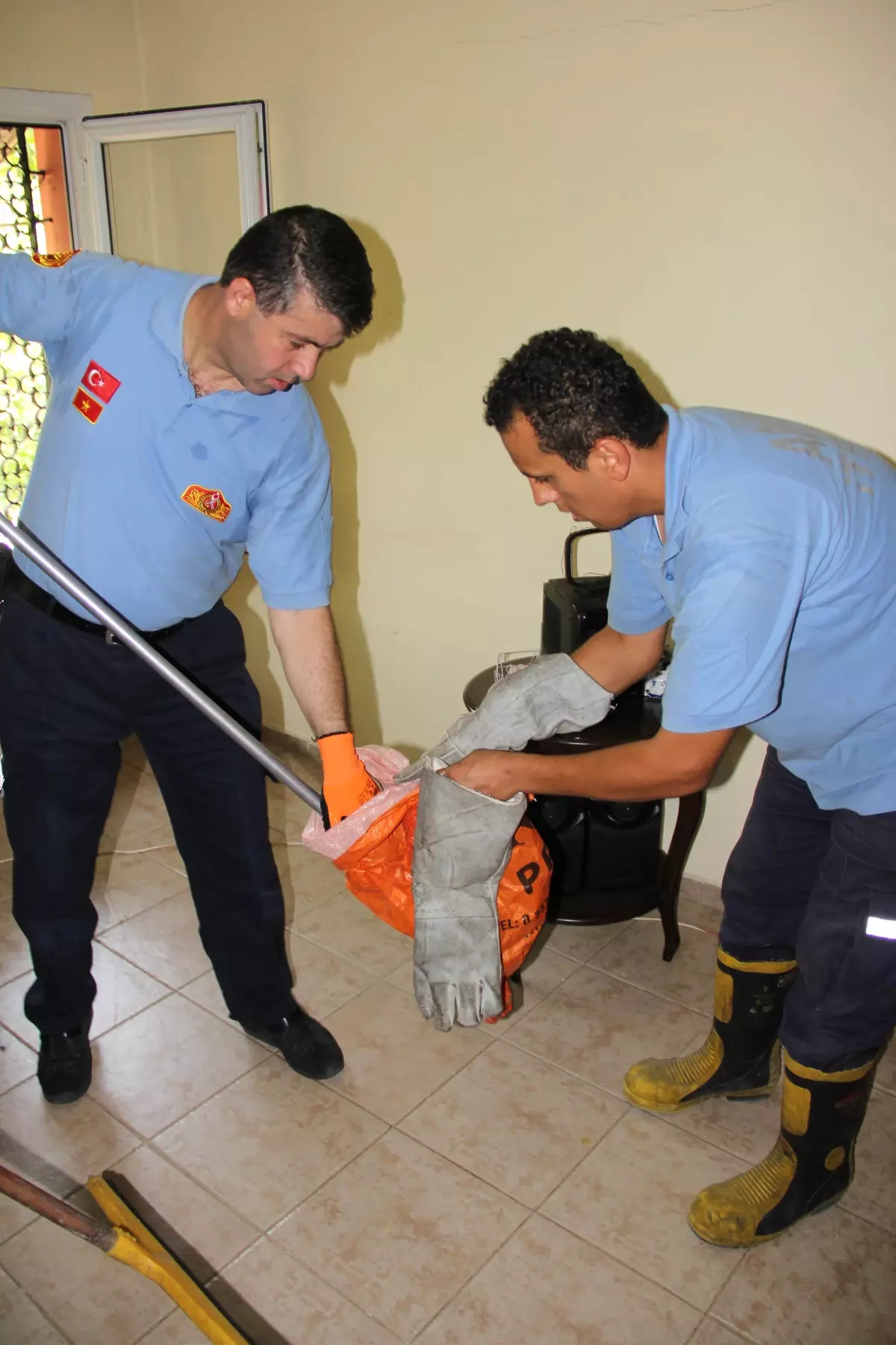 Misafir Odasında Yılan Paniği