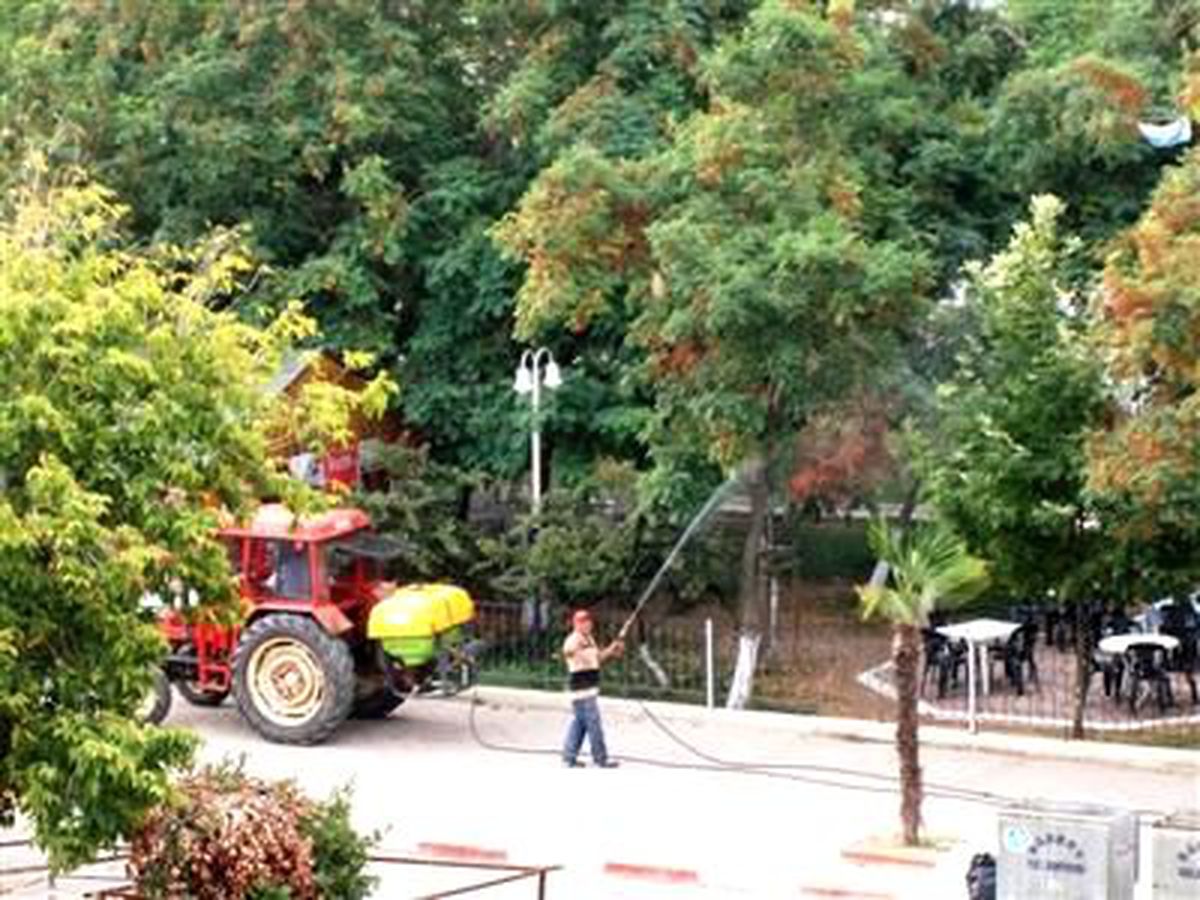 Şarköy\'de Sivrisinekle Mücadele Aralıksız Devam Ediyor