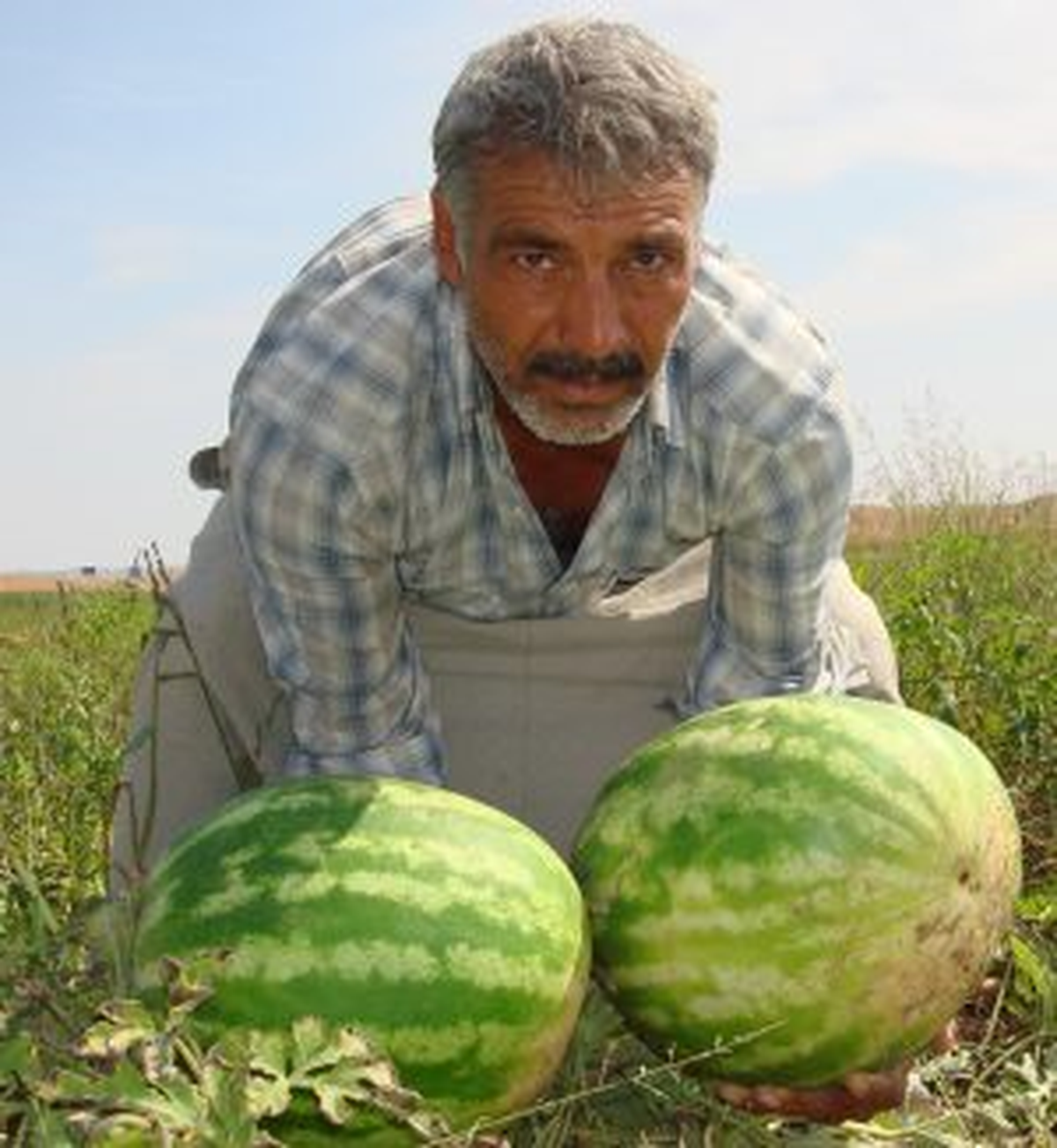 Suyla Gelen Karpuz Bereketi