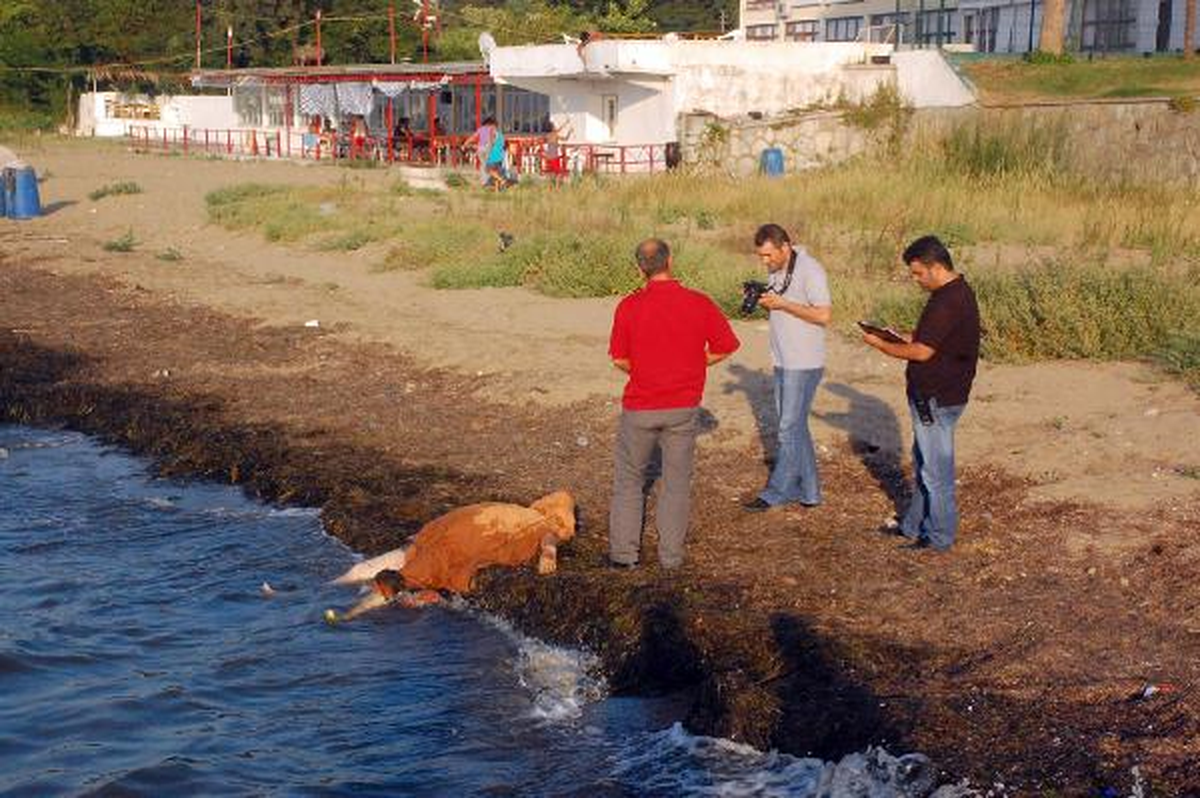 Yalova Sahilinde Mayolu Erkek Cesedi Bulundu