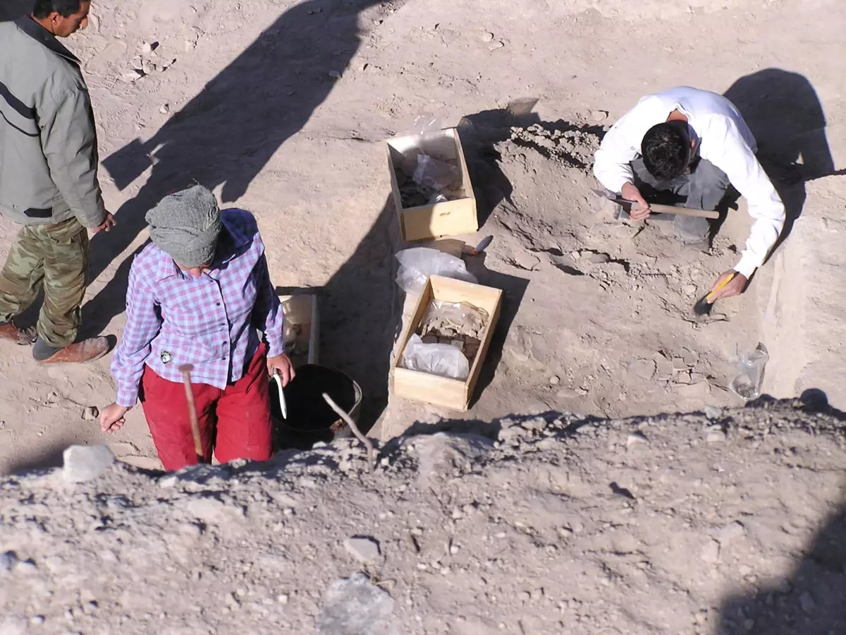 Aslantepe'de Kazılar 15 Ağustos'ta Başlıyor