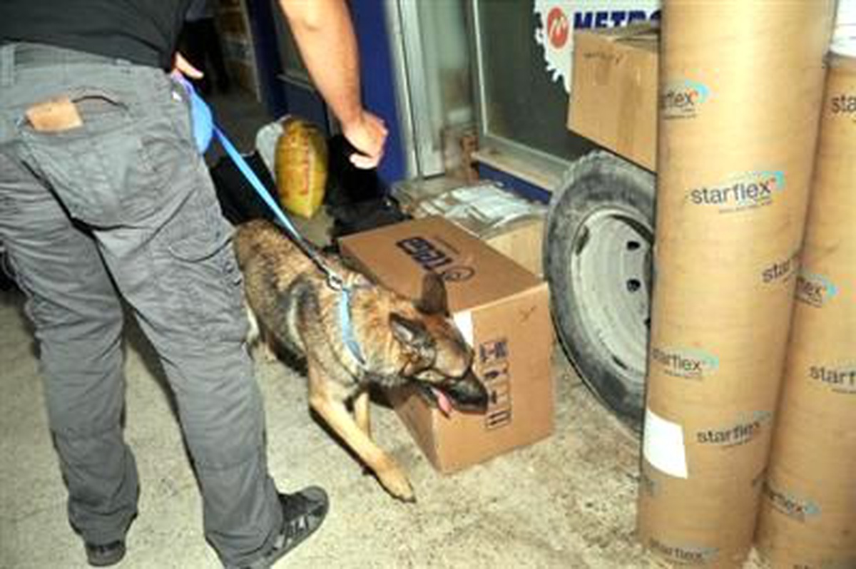 Adana Otogarı Narkotik Köpeklerle Arandı