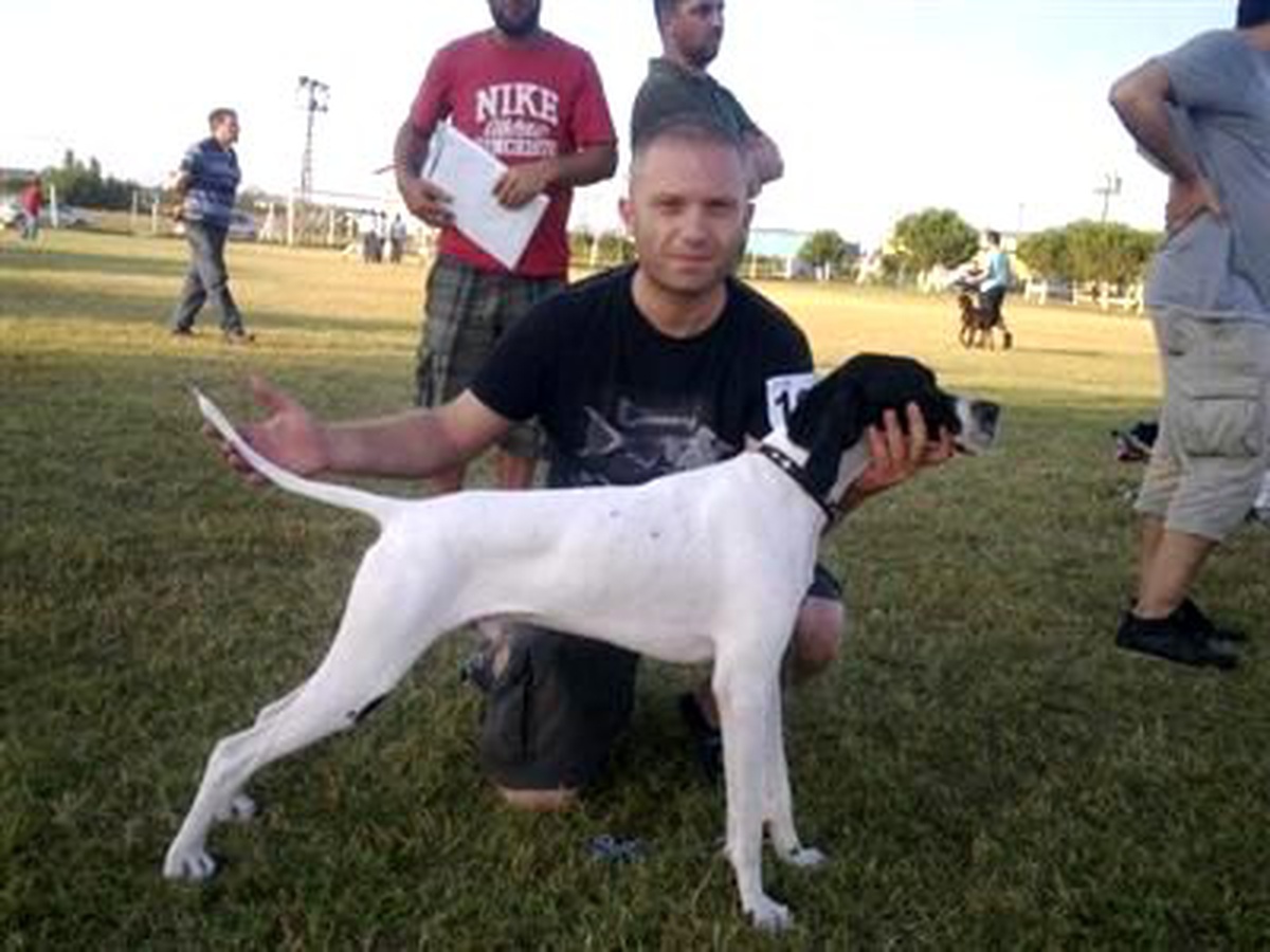 \'Ares\' Köpek Yarışmasında İki Birincilik Kazandı