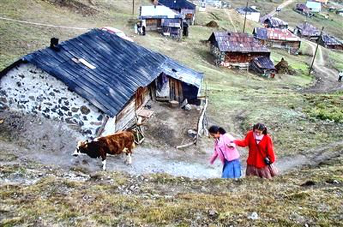 Gümüşhane Yaylalardaki Ahşap Mimari Geleneği Devam Ediyor