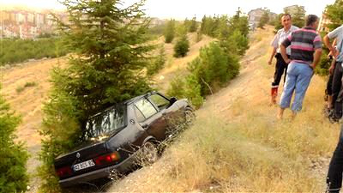 Otomobili Uçuruma Yuvarlanmaktan Sedir Ağacı Kurtardı