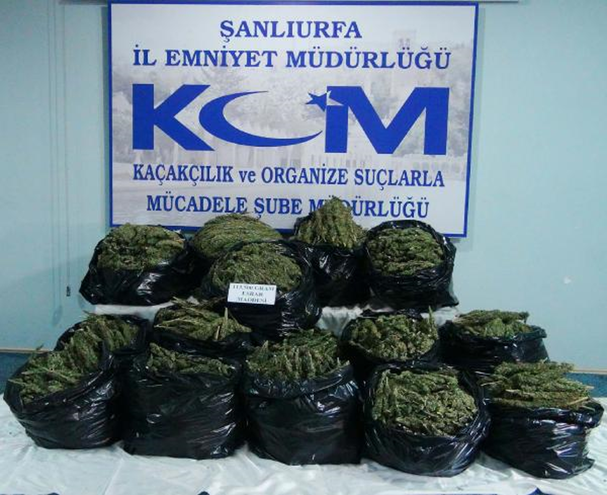 Şanlıurfa\'da 113 Kilo Esrar Ele Geçirildi
