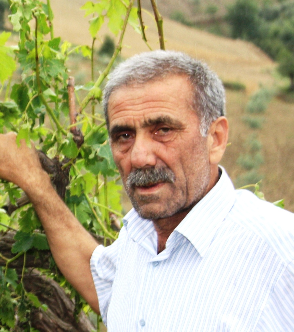 Sarıgöl Ziraat Odası, Kuru Üzüm Fiyatının 4.3 TL Olmasını İstedi