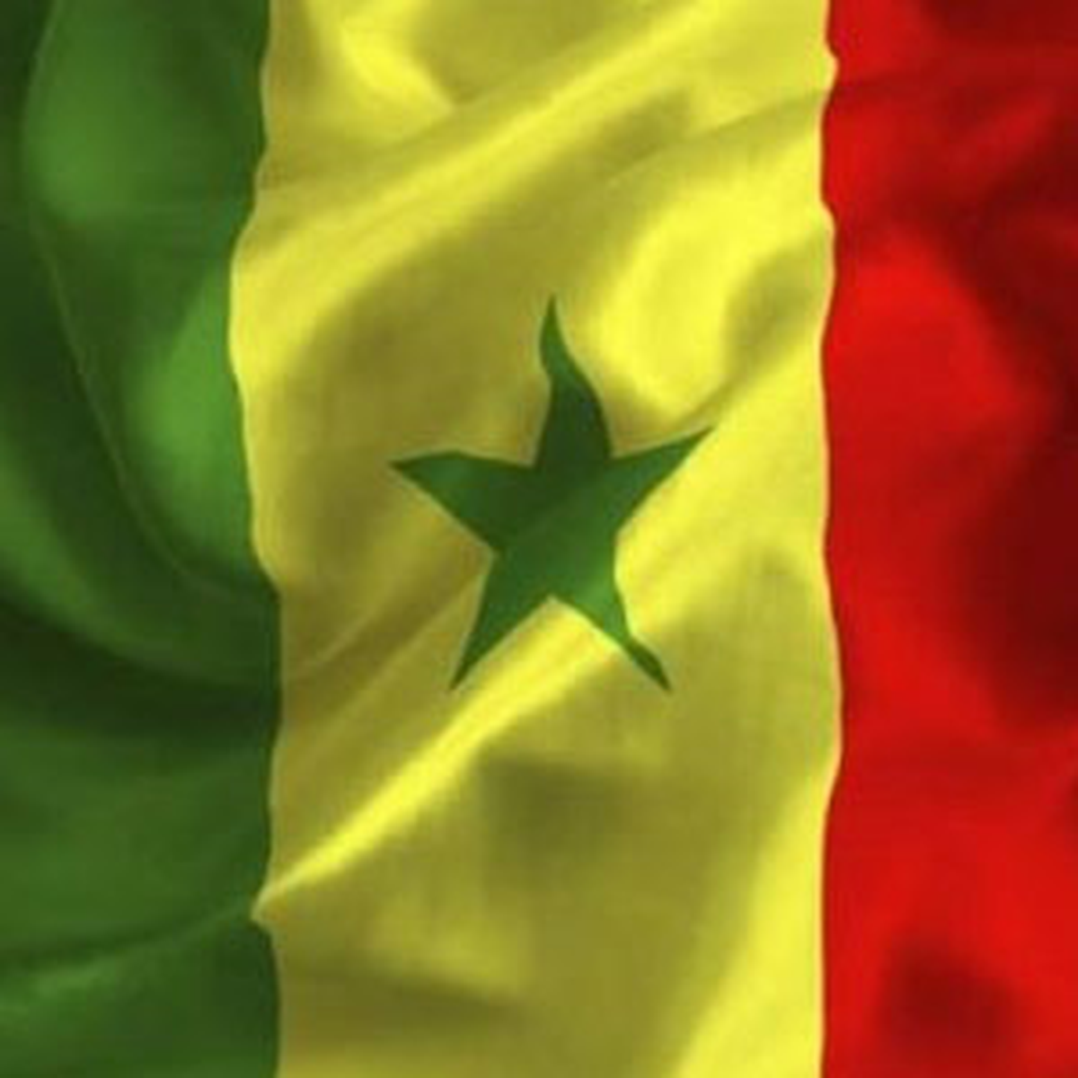 Senegal\'de Meclis Başkanlığı Seçimi
