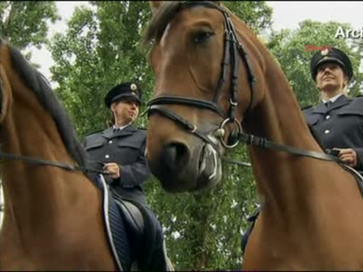 Alman Emniyet Teşkilatı Başkanı Bize Yönelik Uygulama Onursuzca
