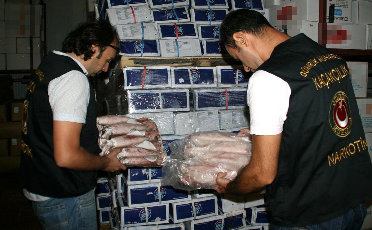 Antalya\'da 5 Ton Kaçak Kalamar Ele Geçirildi