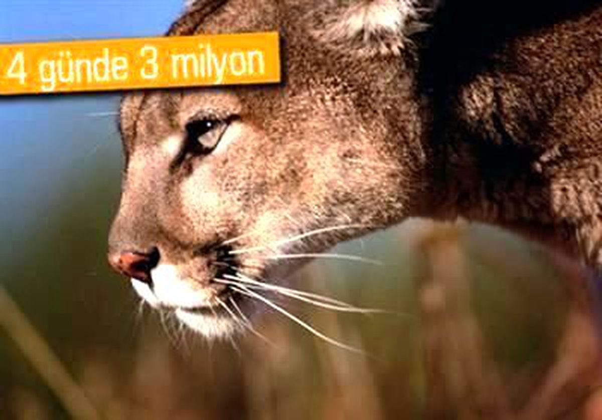 Apple: Os X Mountain Lion 3 Milyon Kez İndirildi