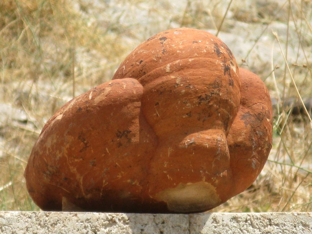 Doğal Şekilli Taşlar Şaşırtıyor