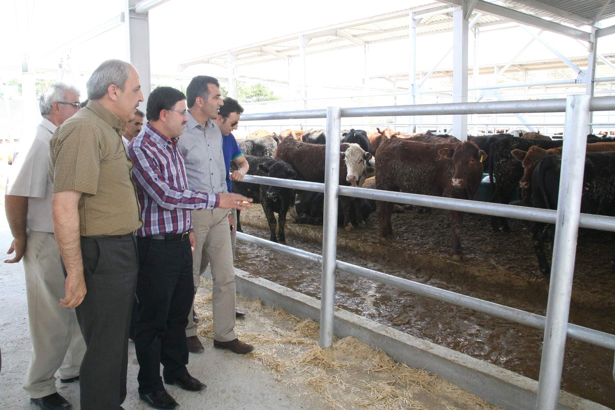 Et ve Balık Kurumu Yozgat Ekonomisine Katkı Sağlayacak