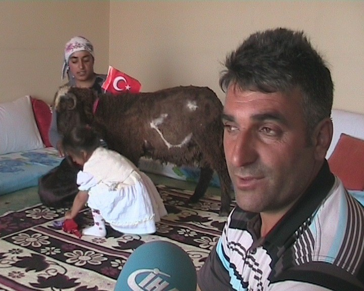 Selim\'de Ay Yıldızlı Kuzu Görenleri Şaşırtıyor
