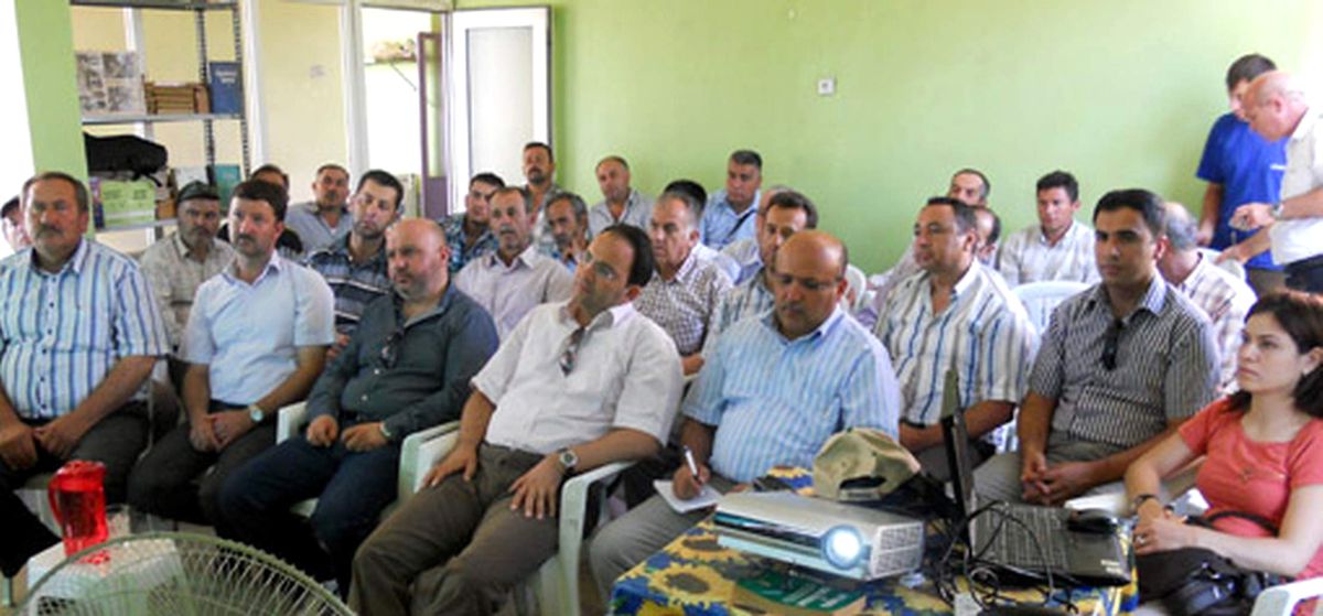 Sultanhisar'da Antepfıstığı Varlığı Artıyor
