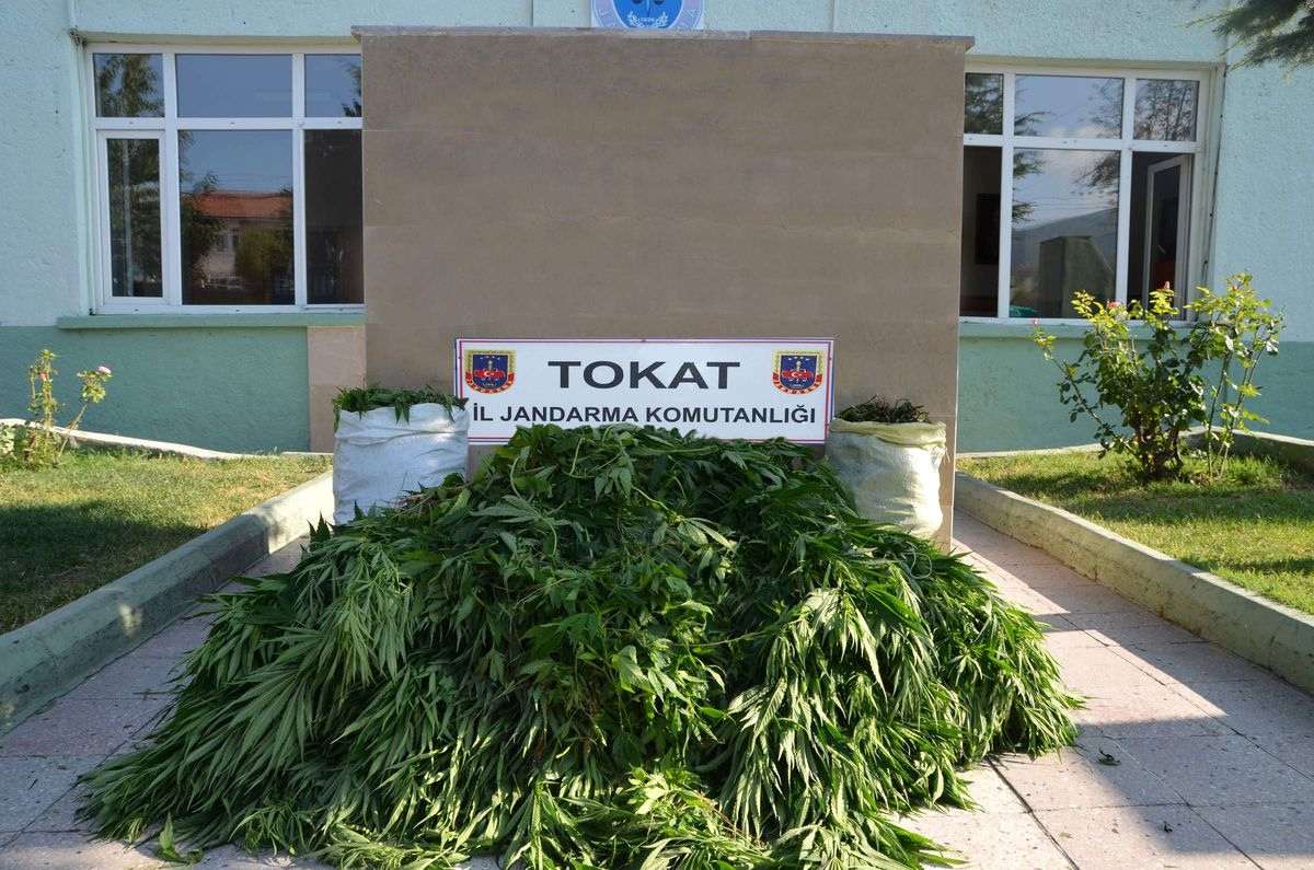 Tokat\'ta Uyuşturucu Operasyonu