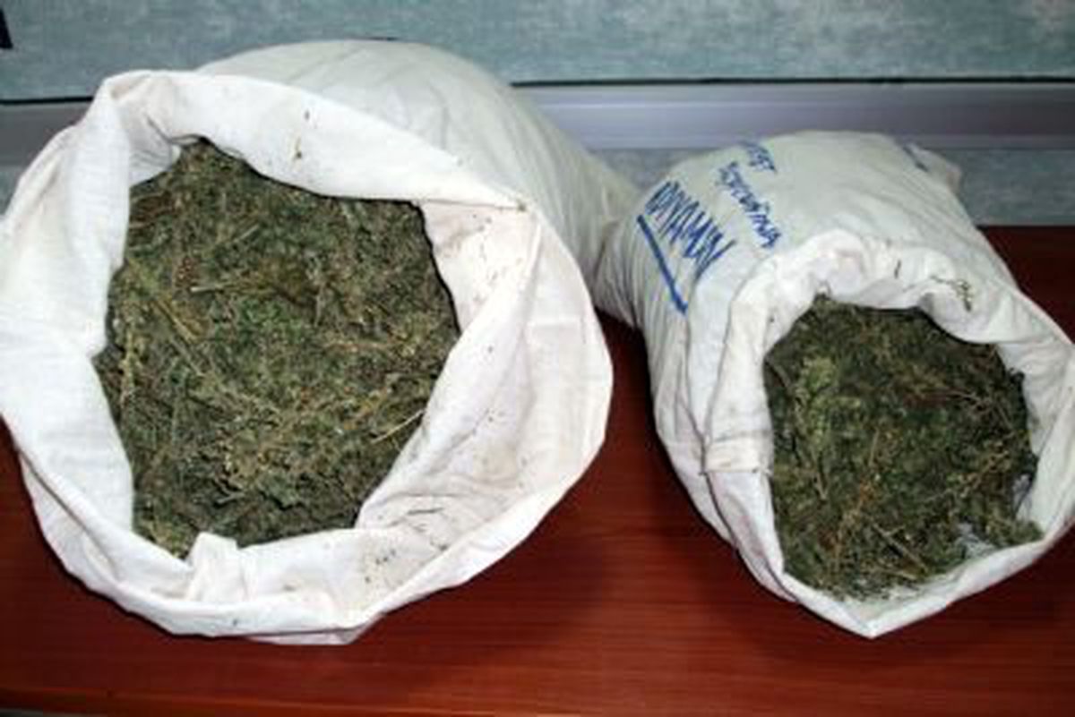 Uyuşturucu Operasyonunda 309 Kilo Esrar Ele Geçirildi