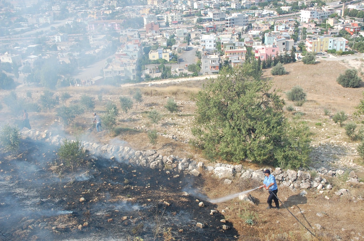 Yanan Zeytin Fidanlarına Önce Vatandaşlar Sonra İtfaiye Müdahale Etti