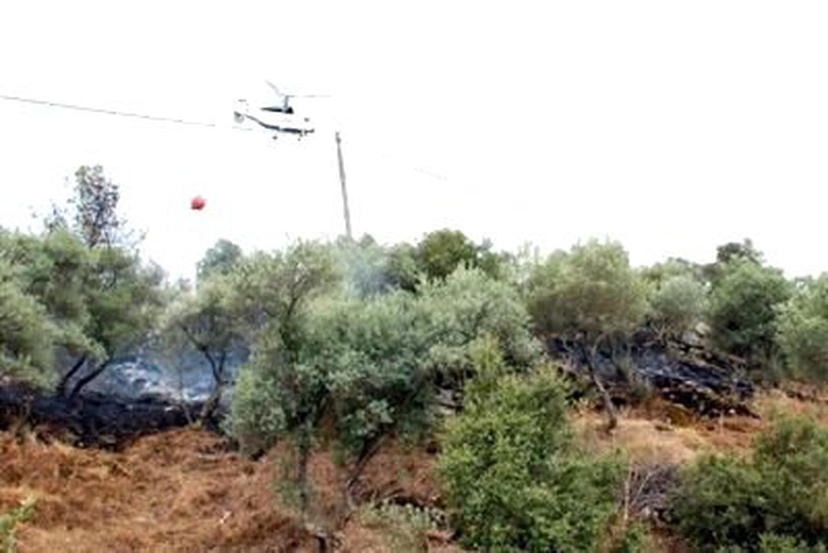 Yıldırım, 5 Köyde Tarım Arazisi ve Ormanı Yaktı