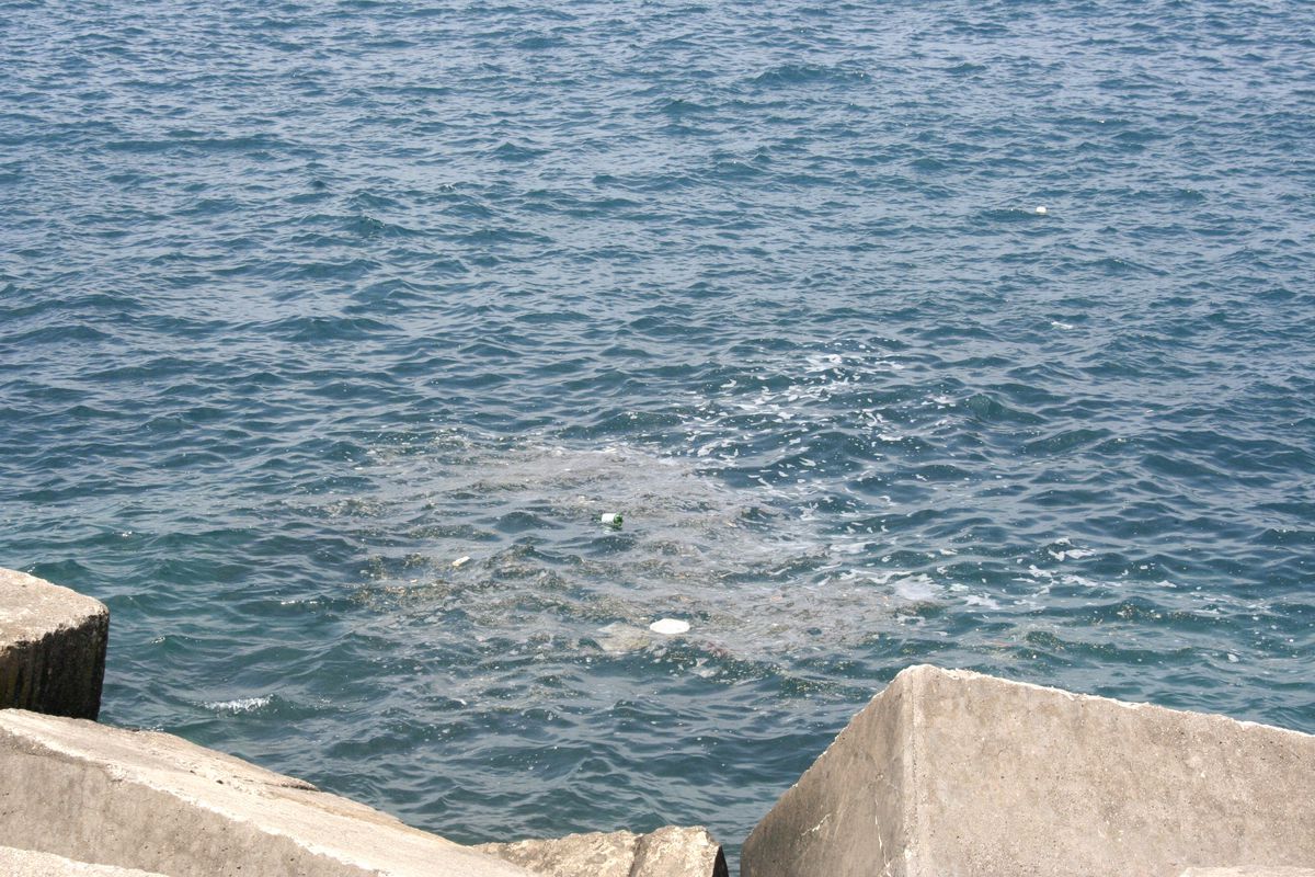 Zonguldak Çöp Kokuyor