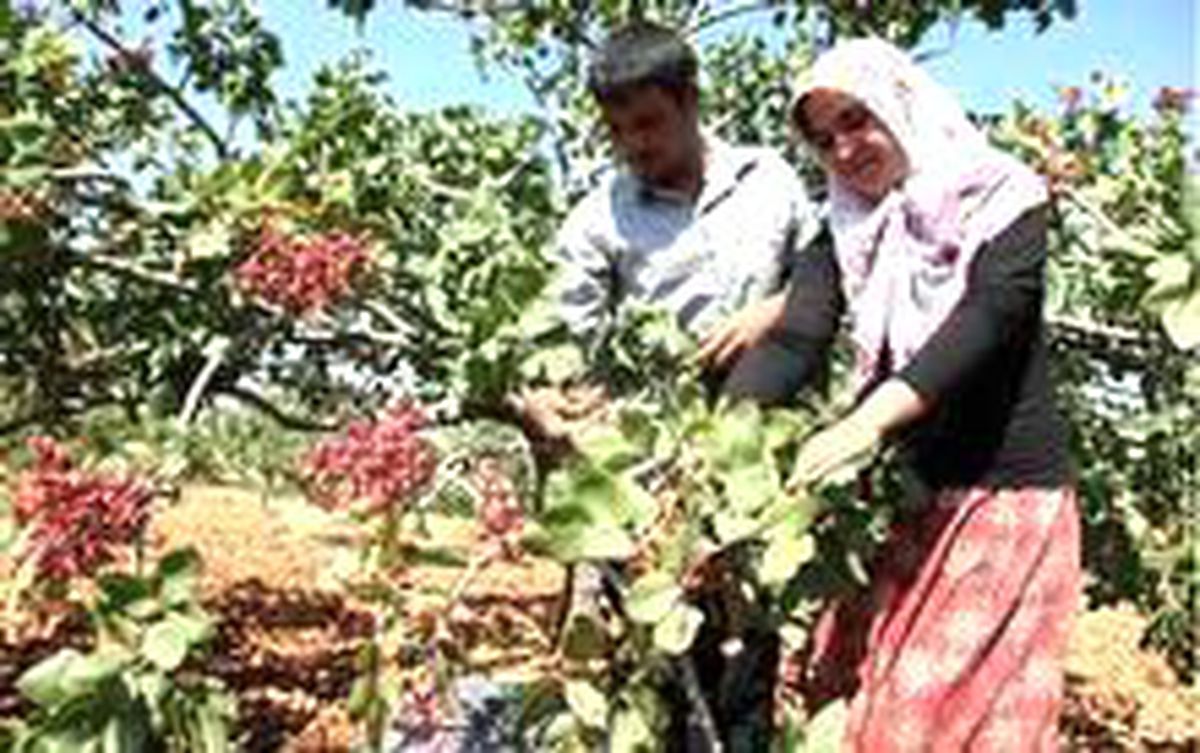 En lezzetli keşif başlıyor!
