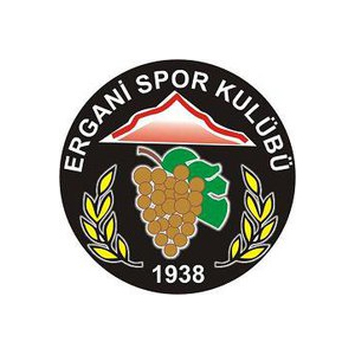 Erganispor Yönetimi Toplanıyor