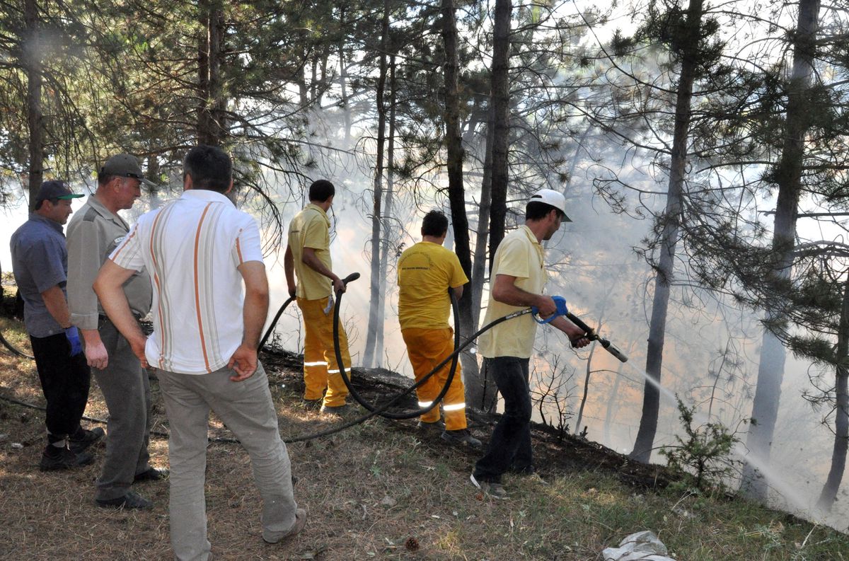 Hurdalık Demir İçin Ormanı Yaktılar