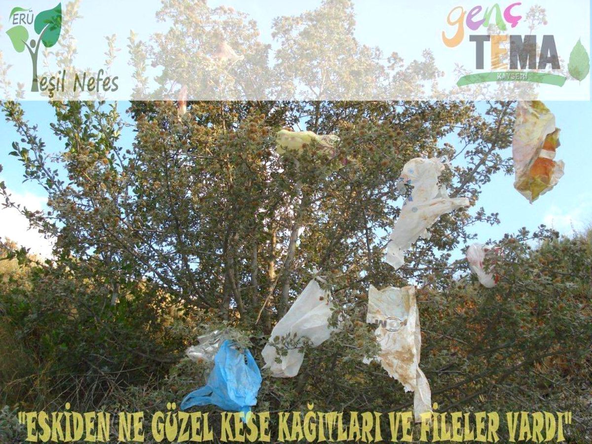 Kese Kağıdı ve Fileye Dönüş Çağrısı