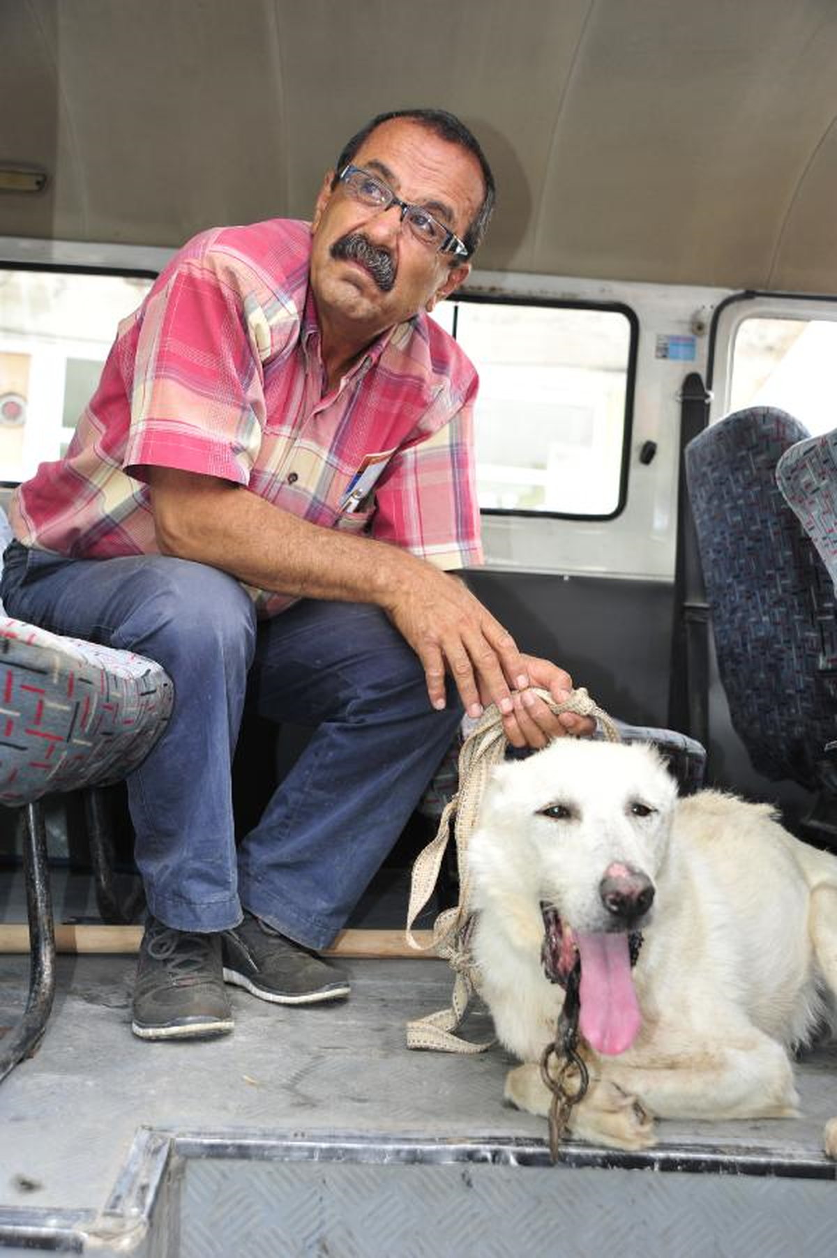 Sosyal Paylaşım Sitesi Köpeğin Hayatını Kurtardı