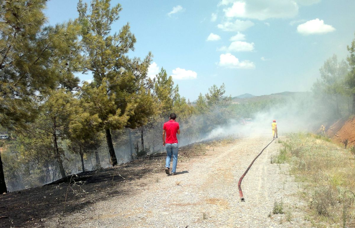 Yatağan\'da Orman Yangını