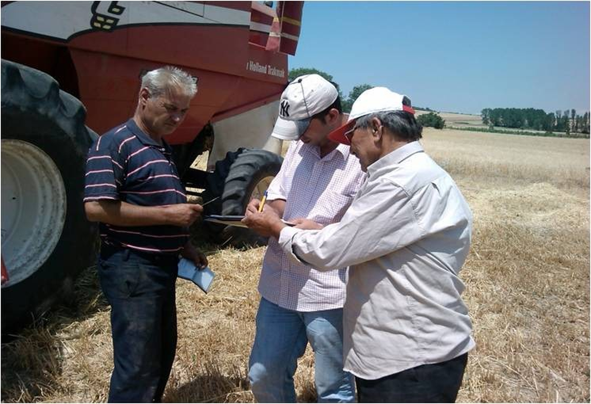 Bir Yanda Hasat Bir Yanda Kontrol